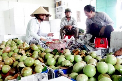 Người tiêu dùng thích sử dụng sản phẩm đạt chuẩn